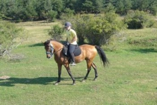 Disfruta de las mejores rutas a caballo